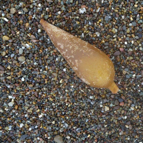 tumblr_mj771rO62p1qzct4co1_500