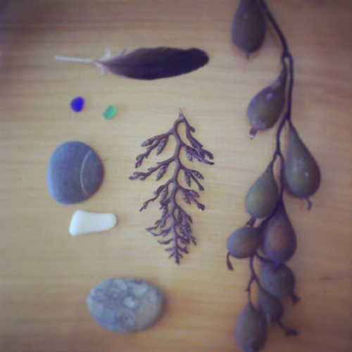 tumblr_mj7griddQO1qzct4co1_500